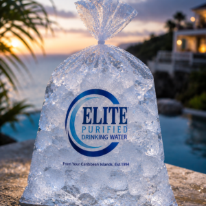 Ice Bags